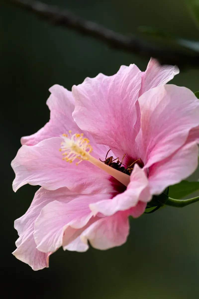 芝生の施工・管理
