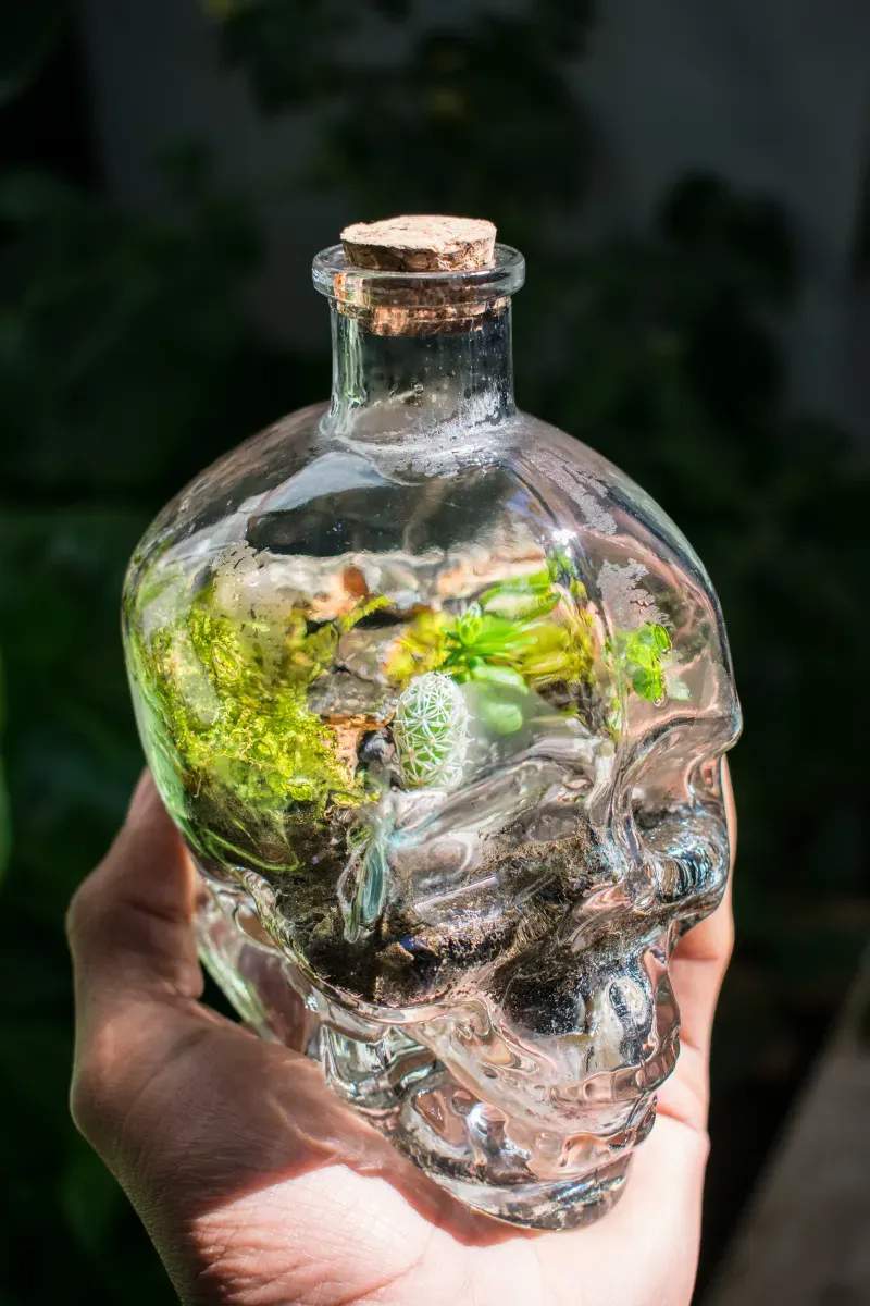 雑草対策・防草施工